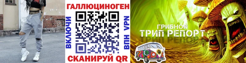 дарнет шоп  Таруса  Псилоцибиновые грибы MAGIC MUSHROOMS 